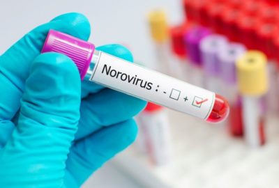 norovirus (1)